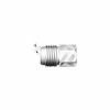 Royal Brass Adapter 2405 8 6c 8MJ6FPBP - Couplings & Fittings -US Garden Supplies Sales 2024 000850852 1