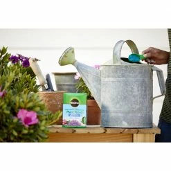 Miracle-Gro Water Soluble Azalea, Camellia, Rhododendron Plant Food, 1.5 lbs. - 1000701 - Fertilizers -US Garden Supplies Sales 2024 0942de3fcd865e0342652300adf6e85c942801f5 80360058 7