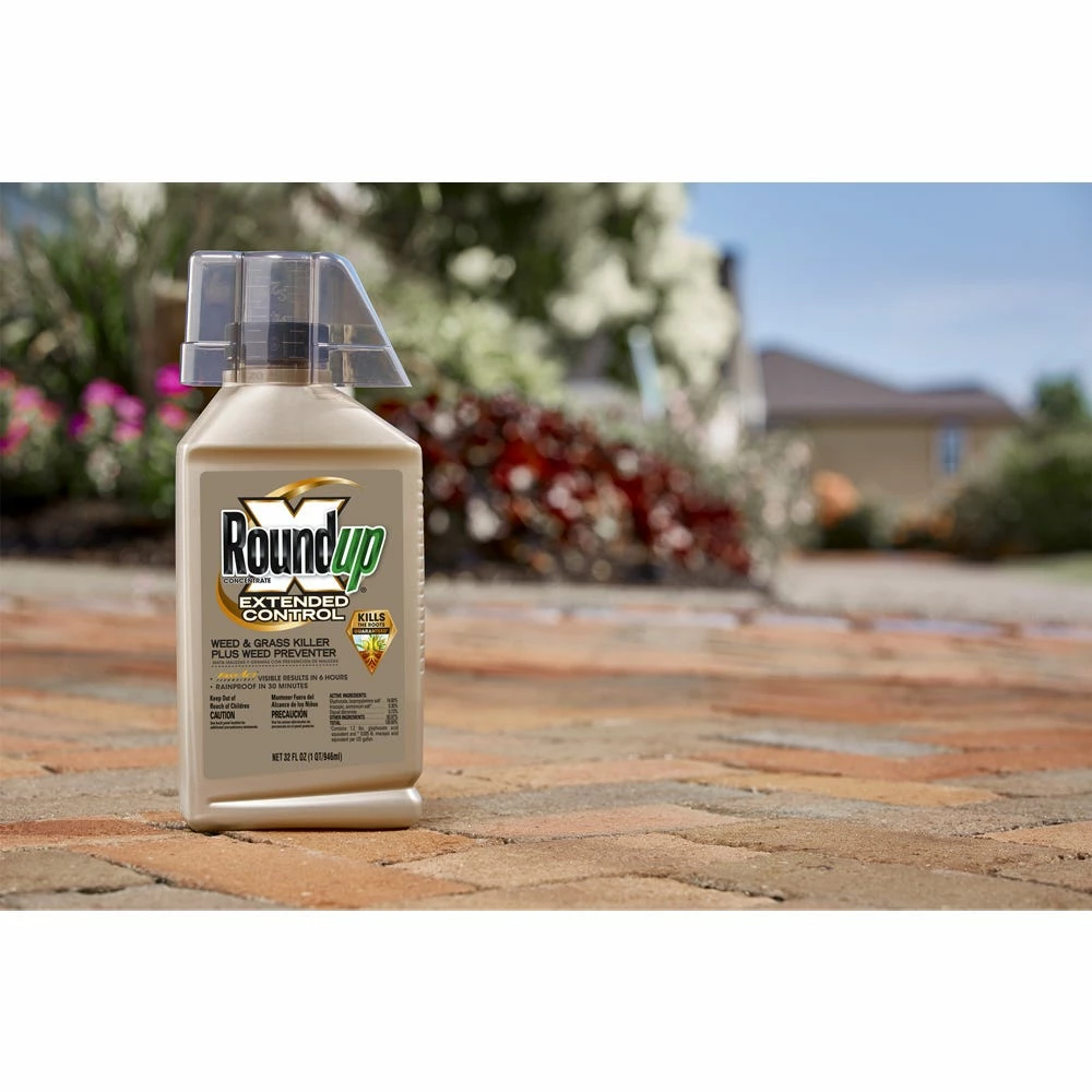 Roundup Concentrate Extended Control Weed & Grass Killer Plus Weed Preventer II, 32 Ounce - 5705010 - Herbicides 5 Roundup Concentrate Extended Control Weed & Grass Killer Plus Weed Preventer II, 32 Ounce - 5705010 - Herbicides - Image 3