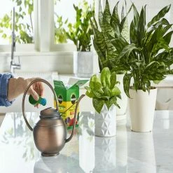 Miracle-Gro Water Soluble All-Purpose Plant Food, 1.5 lbs. - 2001123 - Fertilizers -US Garden Supplies Sales 2024 3da50b425dfcc73791aecc06ad81db0f26d5d1b0 80360016 6