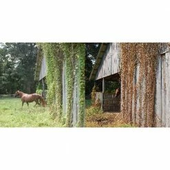 Various Brands RM43 Glyphosate Total Vegetation Control, 1 Gallon Jug - 76500N - Herbicides -US Garden Supplies Sales 2024 3de67557354a44aad82890c13d28705ffefb77dc 31104002 7