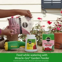 Miracle-Gro Water Soluble Rose Plant Food, 1.5 lbs. - 2000221 - Fertilizers -US Garden Supplies Sales 2024 71b4f7ed46eaefcf114e43200ff2c7021ee5922e 80360045 8