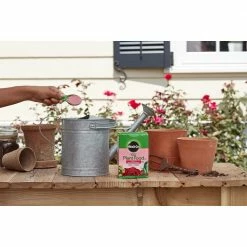 Miracle-Gro Water Soluble Rose Plant Food, 1.5 lbs. - 2000221 - Fertilizers -US Garden Supplies Sales 2024 838cb63ddcd7be25378fadc2e07f5f76244eda1c 80360045 7