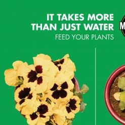 Miracle-Gro Water Soluble All-Purpose Plant Food, 10 lbs. - 1001193 - Fertilizers -US Garden Supplies Sales 2024 a25cebed9c984d5370f61265a528aa779d59f5cf 80360074 5