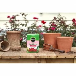 Miracle-Gro Water Soluble Rose Plant Food, 1.5 lbs. - 2000221 - Fertilizers -US Garden Supplies Sales 2024 a5fffc0d526caaf8f4d7d44631430a373211718f 80360045 5