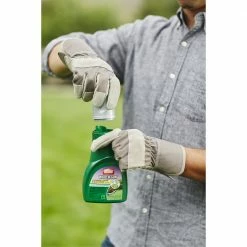 Scotts Ortho Weed B Gon Chickweed, Clover & Oxalis Killer for Lawns Concentrate, 16 oz. - 0396410 - Herbicides -US Garden Supplies Sales 2024 abdeca745a5ad569875bbcdbb76f6a7bb58b2447 4101277 3