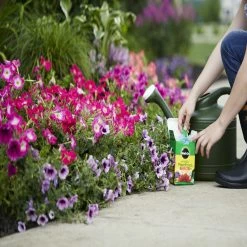 Miracle-Gro Water Soluble All-Purpose Plant Food, 1.5 lbs. - 2001123 - Fertilizers -US Garden Supplies Sales 2024 ca05bc753d57ea631e30309ec622eece956eaeee 80360016 3