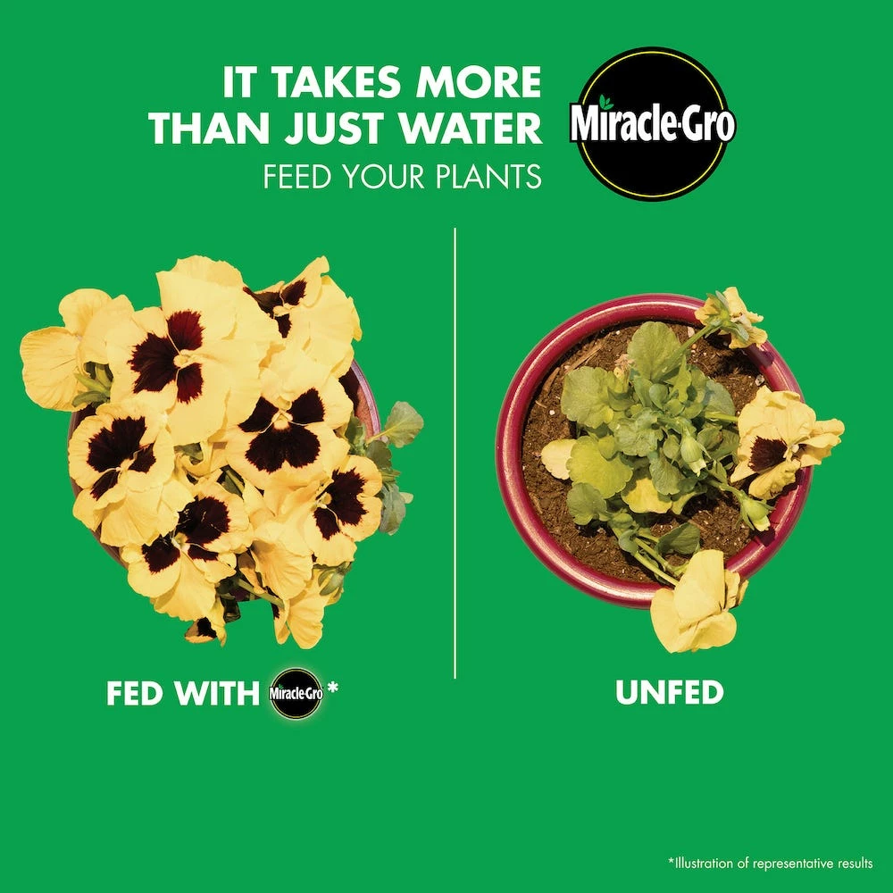 Miracle-Gro Liquafeed All-Purpose Plant Food Advanced Starter Kit (Feeder + 1 Refill) - 1016111 - Fertilizers 10 Miracle-Gro Liquafeed All-Purpose Plant Food Advanced Starter Kit (Feeder + 1 Refill) - 1016111 - Fertilizers - Image 8