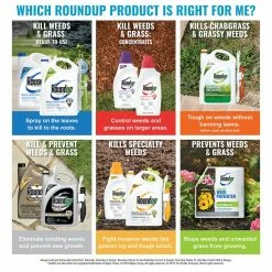 Roundup Concentrate Plus Weed and Grass Killer, 64 oz. - 5006010 - Herbicides 16 Roundup Concentrate Plus Weed and Grass Killer, 64 oz. - 5006010 - Herbicides -US Garden Supplies Sales 2024 d61084d44fc680c6b037c8c25608cc243c88ab15 62580089 7