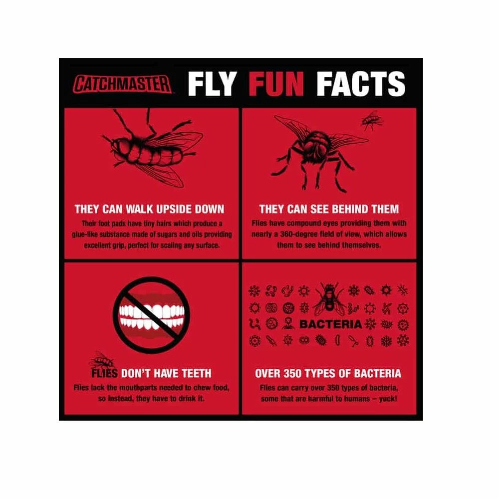 Catchmaster Scented Bug and Fly Catcher Fly Ribbon - 9144B4 - Bug Candles & Zappers 6 Catchmaster Scented Bug and Fly Catcher Fly Ribbon - 9144B4 - Bug Candles & Zappers - Image 5
