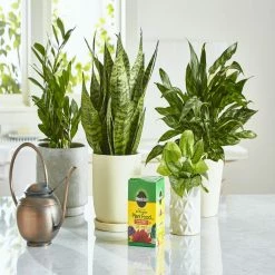 Miracle-Gro Water Soluble All-Purpose Plant Food, 1.5 lbs. - 2001123 - Fertilizers -US Garden Supplies Sales 2024 ecb1f1b3bec4bfeea386a0e96aecbfc9a0e5a604 80360016 4