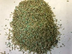 Hancock's Pasture Mix South, 25 lb. Bag - HSC0503 - Seeds & Bulbs